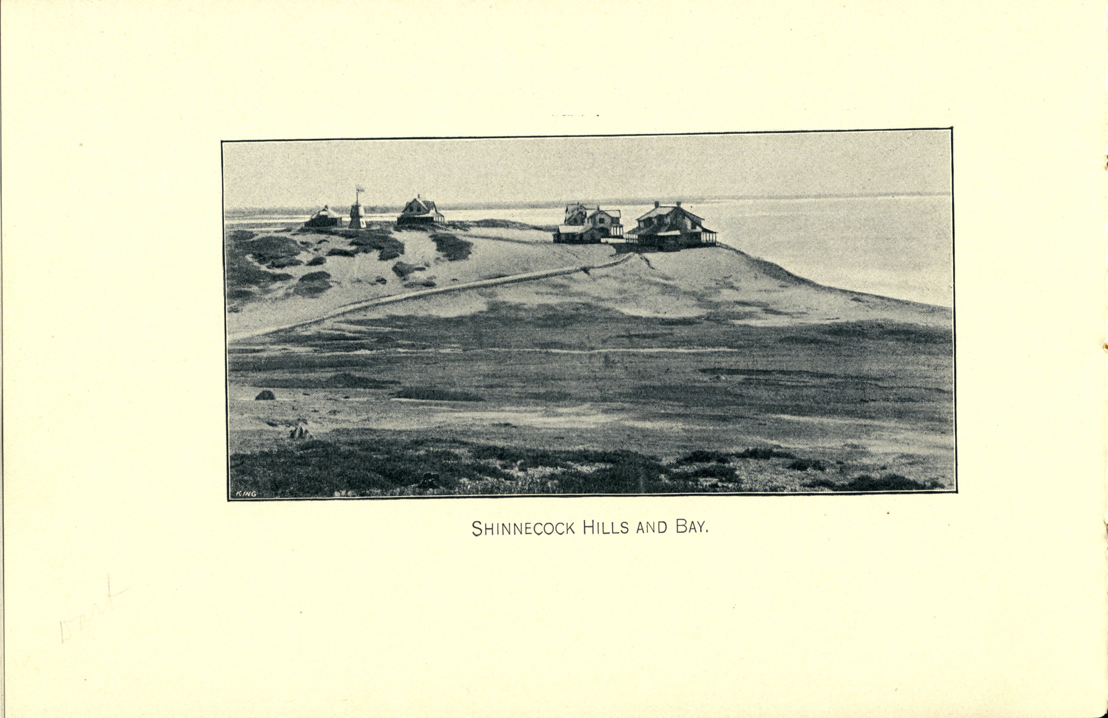 Alt View II